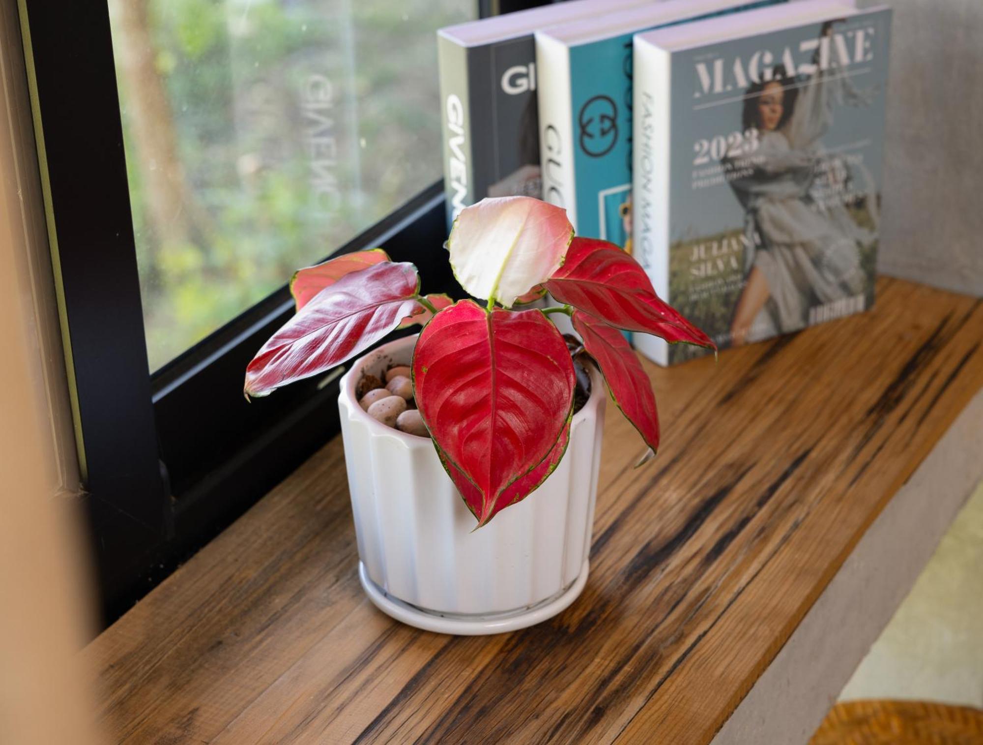 Sapaxa Spring Garden Ecolodge 외부 사진